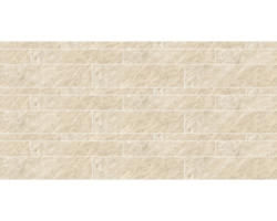 Keramik Bodenfliese Discovery 15,0x60,0 cm beige