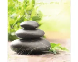 Glasbild Wellness II 50x50 cm