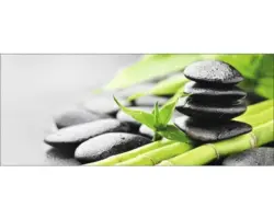 Glasbild Little Bamboo 30x80 cm GLA609