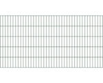 Hornbach Doppelstabmatte ALBERTS 6/5/6 200 x 100 cm grün