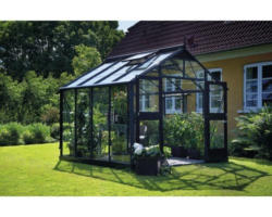 Gewächshaus JULIANA Premium 8,8 m² 3 mm Sicherheitsglas 296x296 cm anthrazit