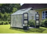Hornbach Gewächshaus JULIANA Premium 8,8 m² 10 mm Stegdoppelplatten 296x296 cm Aluminium