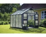 Hornbach Gewächshaus JULIANA Premium 8,8 m² 10 mm Stegdoppelplatten 296x296 cm anthrazit