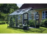 Hornbach Gewächshaus JULIANA Premium 10,9 m² 3 mm Sicherheitsglas 296x368 cm Aluminium