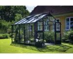 Hornbach Gewächshaus JULIANA Premium 10,9 m² 3 mm Sicherheitsglas 296x368 cm anthrazit