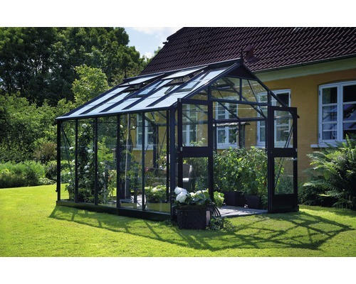 Gewächshaus JULIANA Premium 10,9 m² 3 mm Sicherheitsglas 296x368 cm anthrazit