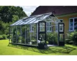 Hornbach Gewächshaus JULIANA Premium 13 m² 3 mm Sicherheitsglas 296x439 cm Aluminium