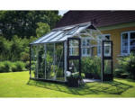 Hornbach Gewächshaus JULIANA Premium 8,8 m² 3 mm Sicherheitsglas 296x296 cm Aluminium