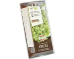 Hornbach Keimsprossen-Anzuchtset Sperli Bio-Kresse