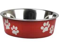 Napf Ascar mit Pfoten 800 ml dunkelrot