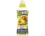 Hornbach Zitruspflanzendünger Compo Bio 500 ml