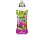 Hornbach Hortensien-und Kameliendünger Compo 1 L auch für Rhododendron und Azaleen