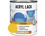 Hornbach HORNBACH Buntlack Acryllack glänzend goldgelb 125 ml