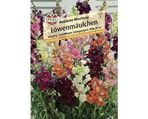 Löwenmäulchen Sperli Blumensamen 'Halbhohe Mischung'