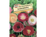 Hornbach Sperli Blumensamen 'Seidenmohn'