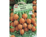 Hornbach Gemüsesamen Sperli Karotten 'Pariser Markt 5'
