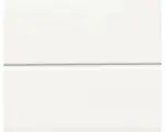 Hornbach Außenpaneel Kunststoff Line 100 uni weiß 8x100x2600 mm