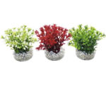 Hornbach Sydeco Kunststoffpflanze Nano Flowering Bush 10 cm