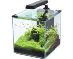 Hornbach Aquarium aquatlantis Nano Cubic 30 mit Frostglasrückseite, LED-Beleuchtung, Filter, Heizer, Pumpe schwarz (ohne Schrank)