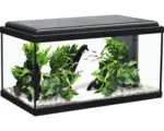 Hornbach Aquarium aquatlantis Advance 60 mit LED-Beleuchtung, Filter, Heizer ohne Unterschrank schwarz