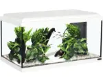 Hornbach Aquarium aquatlantis Advance 60 mit LED-Beleuchtung, Filter, Heizer ohne Unterschrank weiß