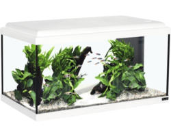 Aquarium aquatlantis Advance 60 mit LED-Beleuchtung, Filter, Heizer ohne Unterschrank weiß