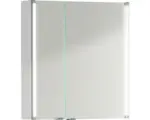 Hornbach LED-Spiegelschrank Fackelmann LED-Line 2-türig 61x67x16,5 cm weiß