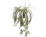 Hornbach Kunstpflanze Grünlilie Chlorophytum Ø 45 cm Höhe: 30 cm grün