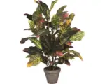 Hornbach Kunstpflanze Kroon Croton Ø 40 cm Höhe: 73 cm grau