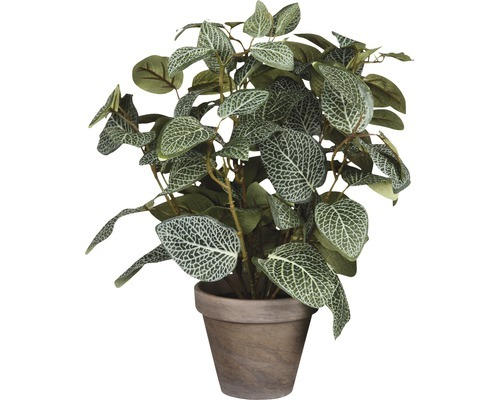 Kunstpflanze Mosaikpflanze Fittonia Ø 25 cm Höhe: 35 cm braun