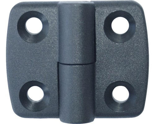 Scharnier Kunststoff (witterungsbeständig) aushängbar links 30x30mm