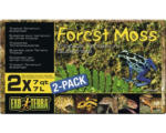 Hornbach Exo Terra Moos 2er Pack, 500 g