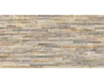 Hornbach Feinsteinzeug Wandfliese Ardesia 62,5x32,0 cm braun matt