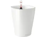 Hornbach Blumentopf Lechuza Deltini Kunststoff Ø 14 H 18 cm weiß inkl. Erdbewässerungssystem und Wasserstandsanzeiger