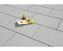 Beton Terrassenplatte iStone Starter quarz 60x40x4cm