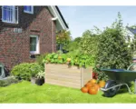 Hornbach Hochbeet Karibu 2, 166 x 83 x 82 cm, natur