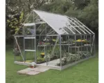 Hornbach Gewächshaus Halls Universal 128 9,9 m² Blankglas 3 mm 257 x 384 cm Aluminium