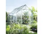 Hornbach Gewächshaus Halls Magnum 108 8,3 m² Blankglas 3 mm 257x322 cm Aluminium