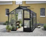 Hornbach Gewächshaus JULIANA Compact 5,0 m² 3 mm Sicherheitsglas 224x224 cm anthrazit