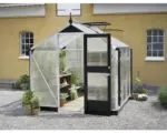 Hornbach Gewächshaus JULIANA Compact 5,0 m² 10 mm Stegdoppelplatten 224x224 cm Aluminium