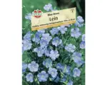 Hornbach Lein 'Blue Dress' Kräutersamen