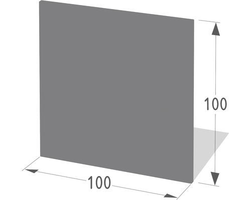 Unterlagsblech Lienbacher rechteckig 100x100 cm anthrazit
