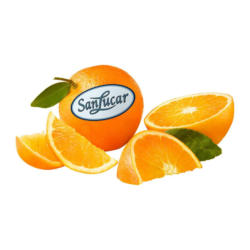 SanLucar Orangen gelegt aus Südafrika