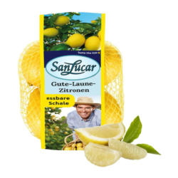 SanLucar Zitronen unbehandelt aus Südafrika