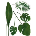 POCO Dekosticker Blätter grün B/L: ca. 50x70 cm 2 tlg. - bis 29.04.2024