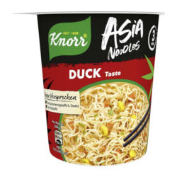 Knorr Asia Noodles Becher Ente