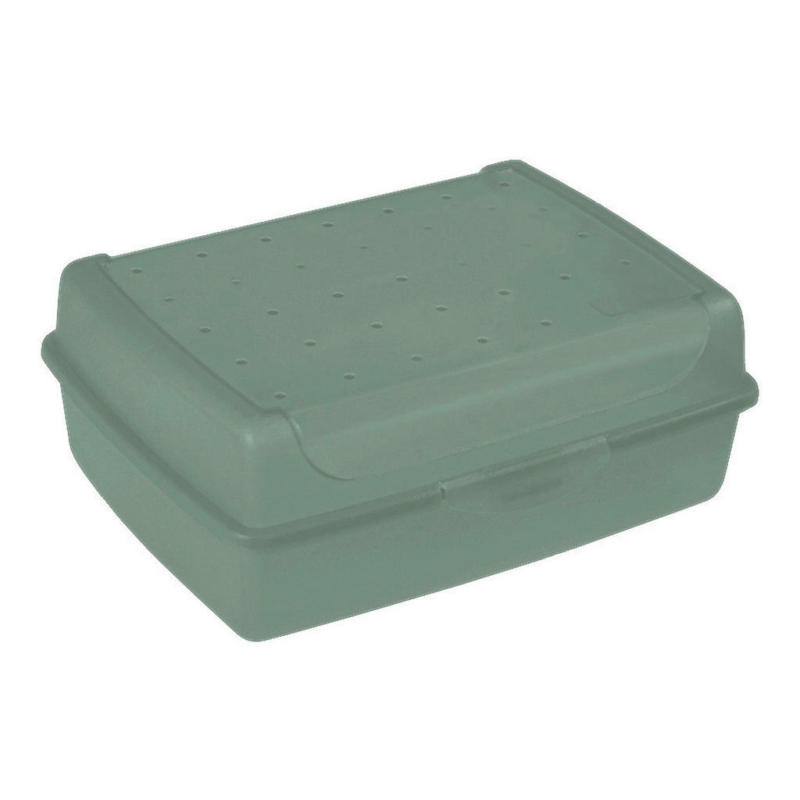 keeeper Click-Box grün B/H/L: ca. 13x7x17 cm