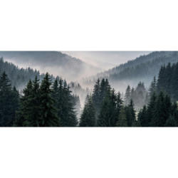 Bönninghoff Keilrahmenbild Wald B/H/L: ca. 60x2,3x140 cm
