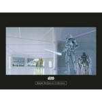 POCO Einrichtungsmarkt Weiden Komar Wandbild Star Wars Classic RMQ Stormtrooper Star Wars B/L: ca. 40x30 cm