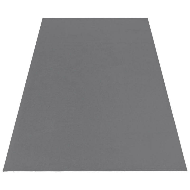 Ayyildiz Teppich CATWALK grau B/L: ca. 80x150 cm